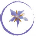 One Hour Herbal Consultation
